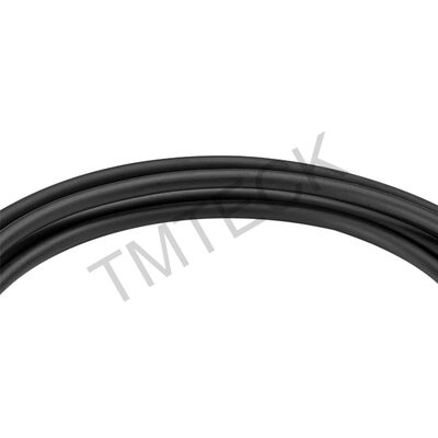 TS10 2D Matrix Array Probe